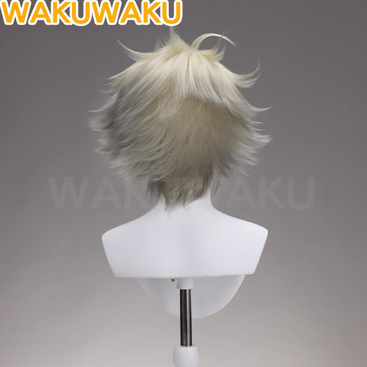 Rudo Surebrec Wig