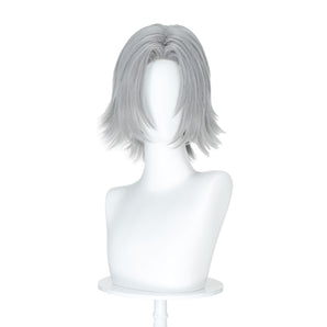 DokiDoki Anime Katekyō Hitman Reborn! Cosplay Wig Gokudera Hayato Short Grey Hair